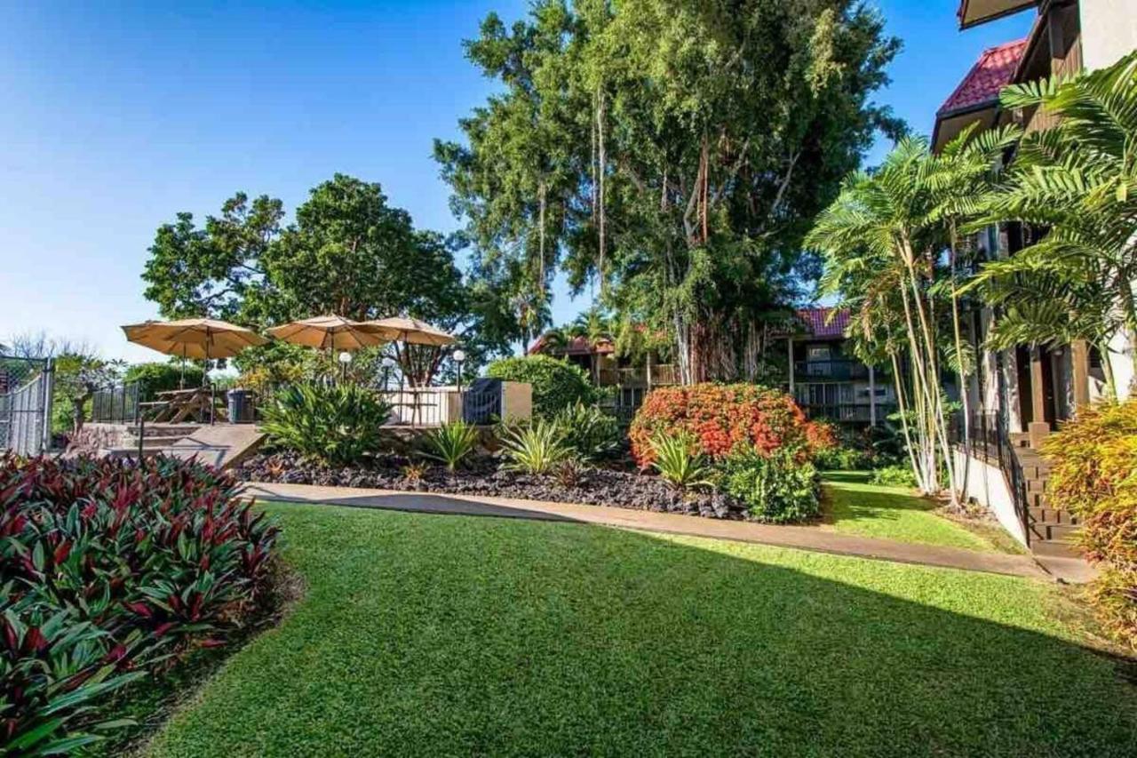 Family Friendly Kailua Bay View Ac Free Parking Walk To Kailua Village 外观 照片